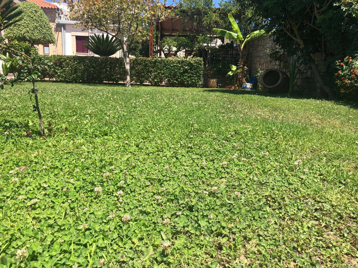 Private Sapphiros Villa 基萨莫斯 外观 照片